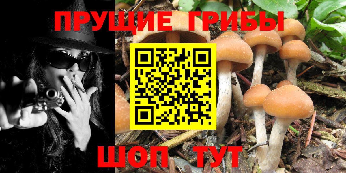 Псилоцибиновые грибы мухоморы  Вход с VPN  Егорьевск 