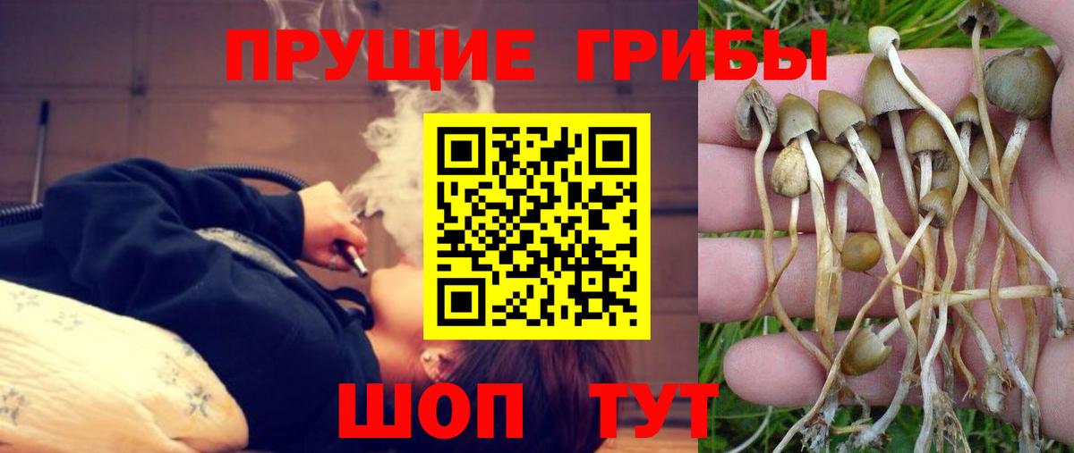 Галлюциногенные грибы мицелий Егорьевск