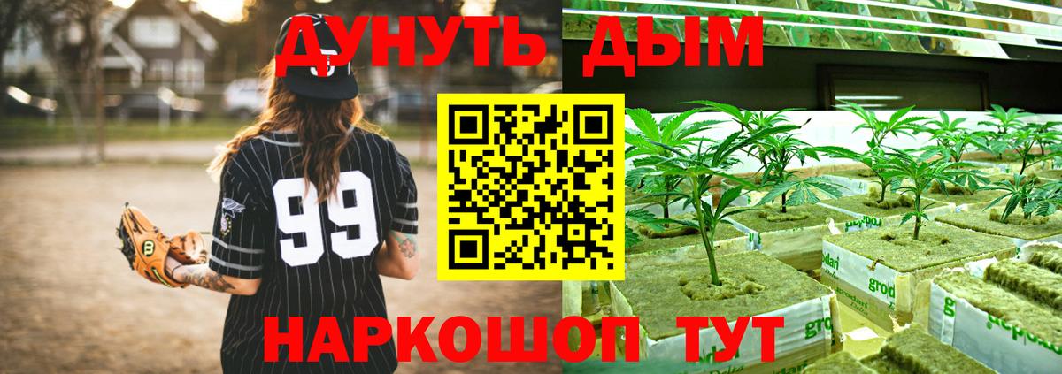 Бошки марихуана план  Шишки марихуана гибрид  Егорьевск  Вход с VPN 